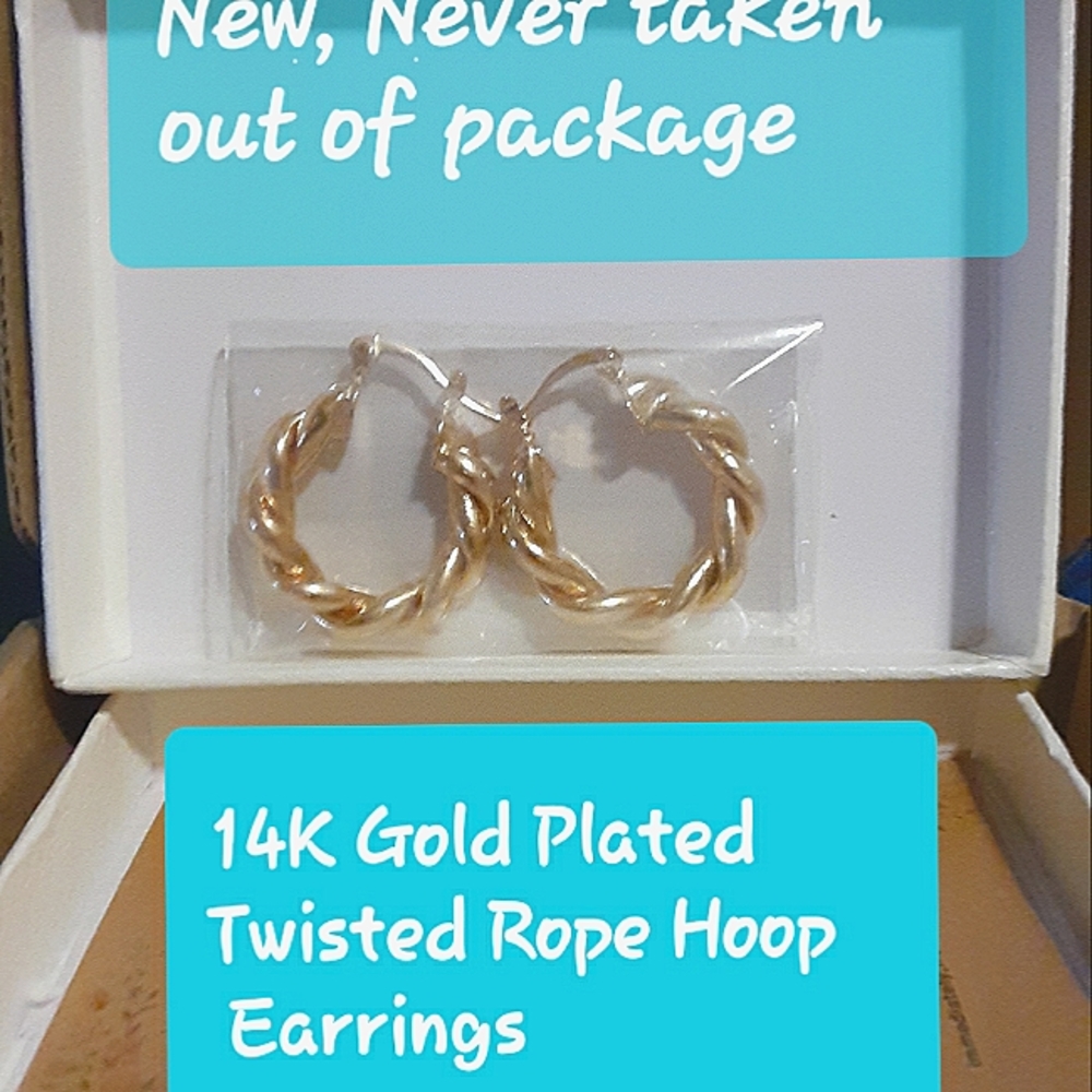 Pinsparkle 14K gold plated earrings